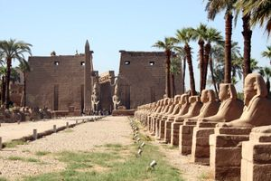 Ancient Egyptian Temples: The Eternal Dialogue between Gods and Architecture