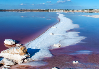 The Ultimate Guide to Ecotourism at Lake Torreville