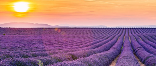 An Ultimate Guide to France’s Most Iconic Landscapes